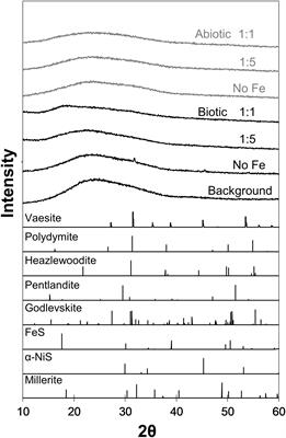Nanoparticulate Nickel-Hosting Phases in Sulfidic Environments: Effects of Ferrous Iron and Bacterial Presence on Mineral Formation Mechanism and Solid-Phase Nickel Distribution